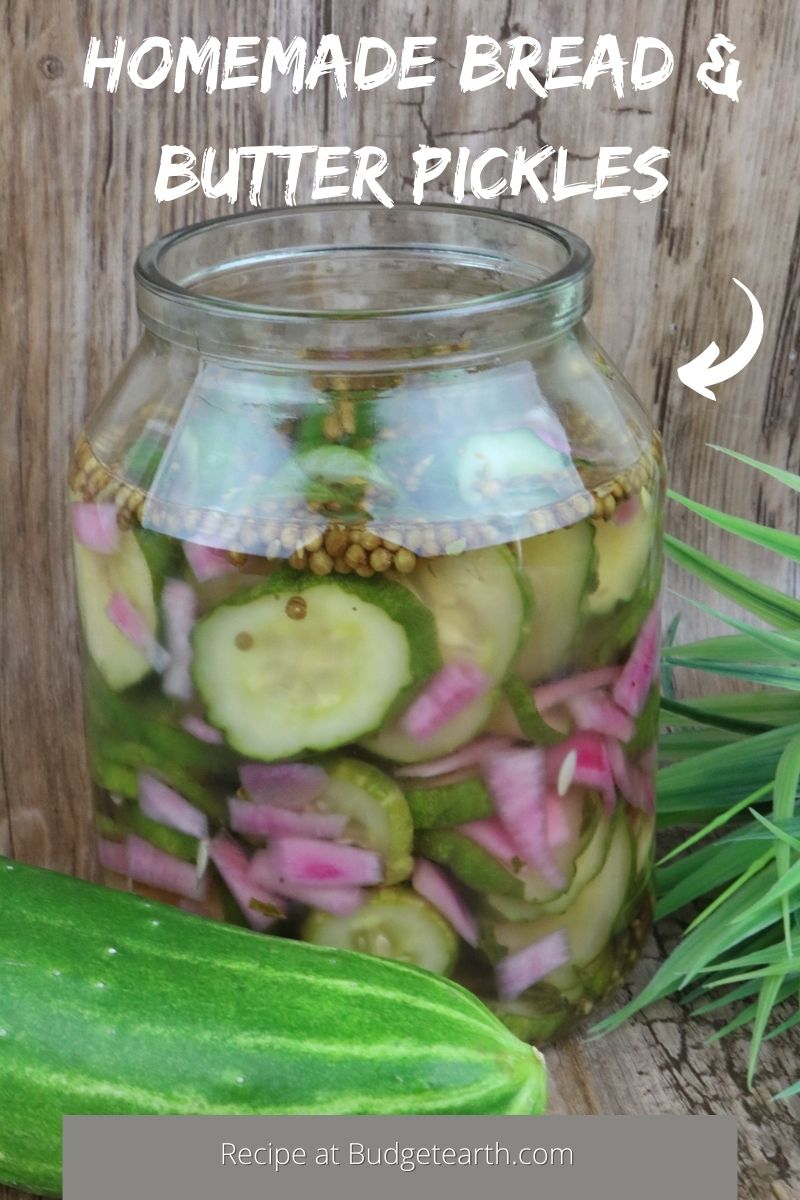 picture of homemade pickles in jar with cucumber and plant