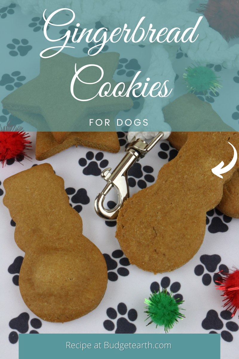 picture of Gingerbread Cookies for Dogs