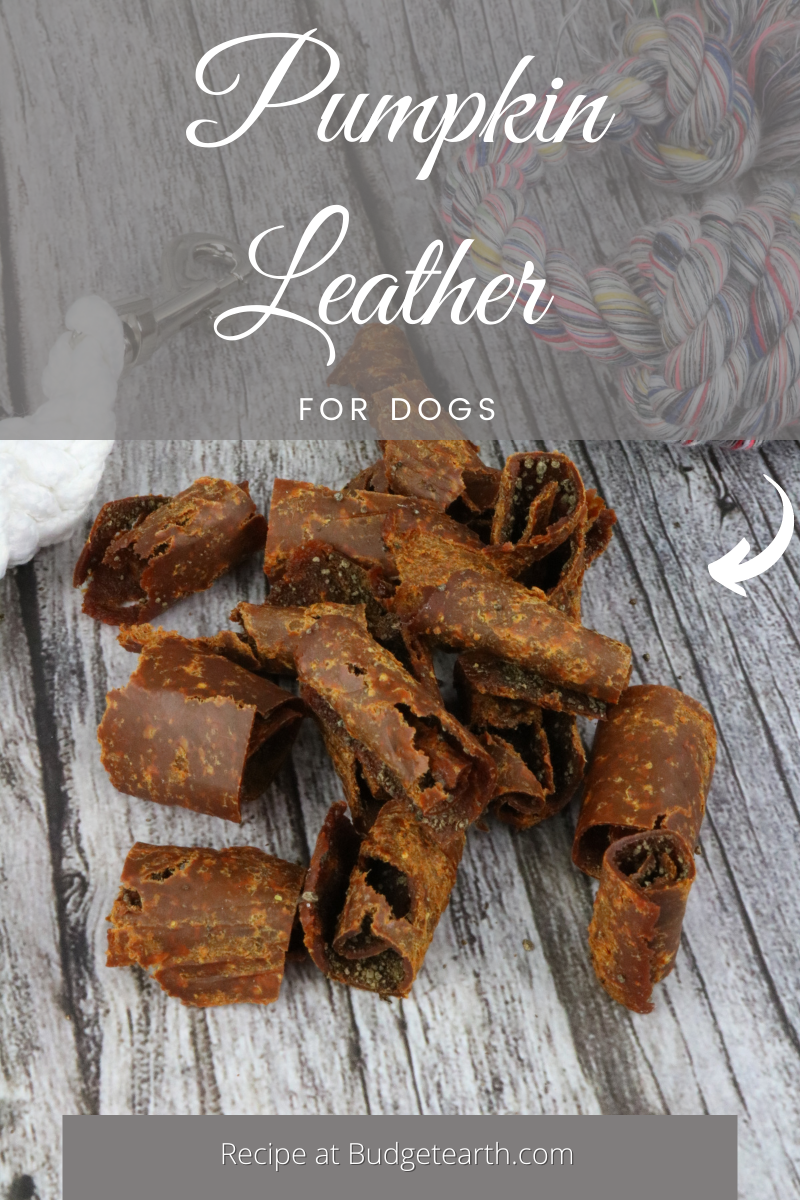 Pumpkin leather for dogs recipe with dog toys