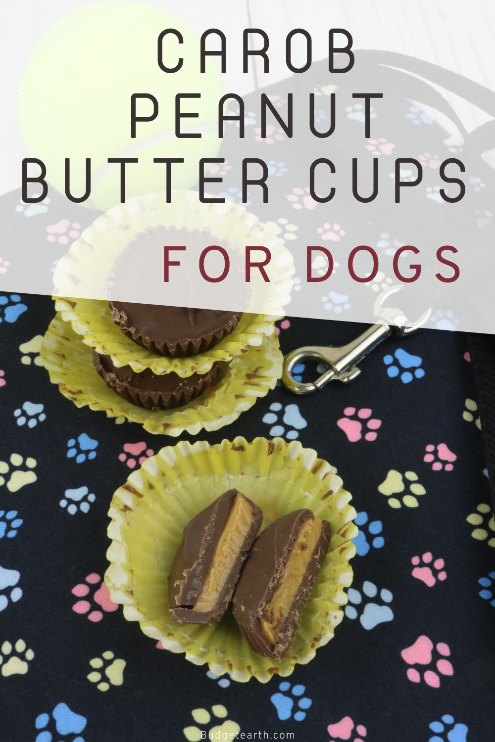 picture of multiple peanut butter cups for dogs
