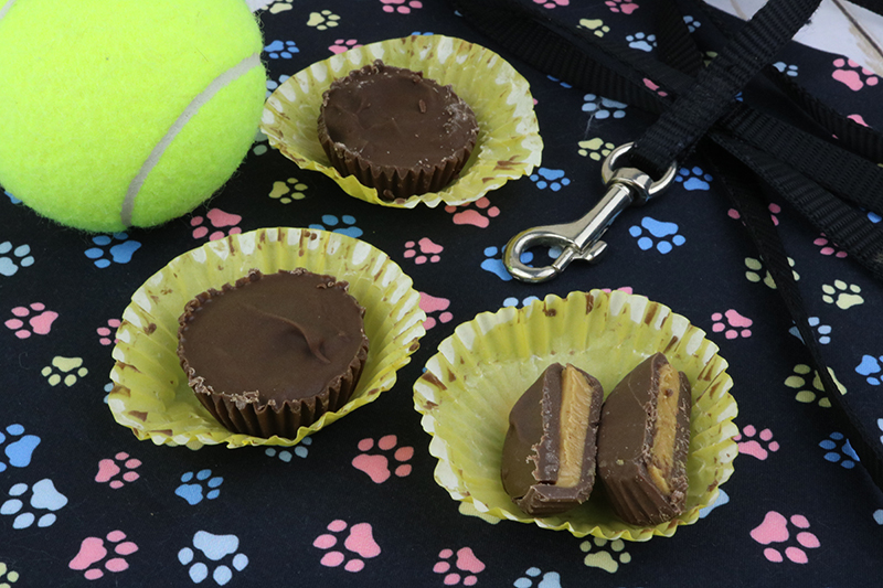 close up of peanut butter cups for dogs