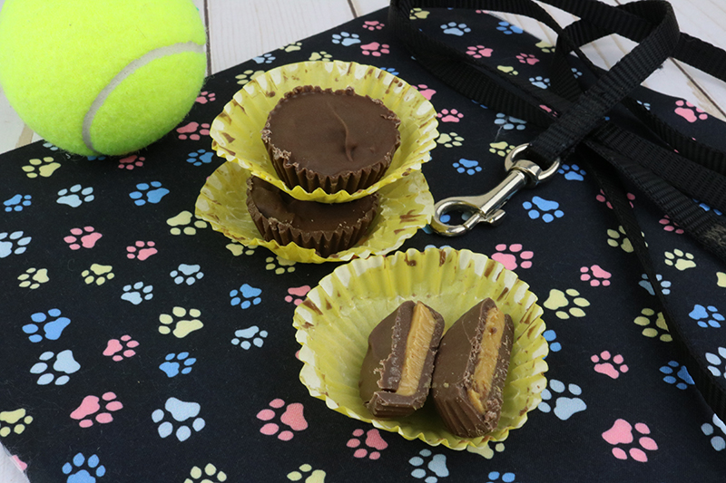 peanut butter cups for dogs on a black paw background with a tennis ball and leash in the background