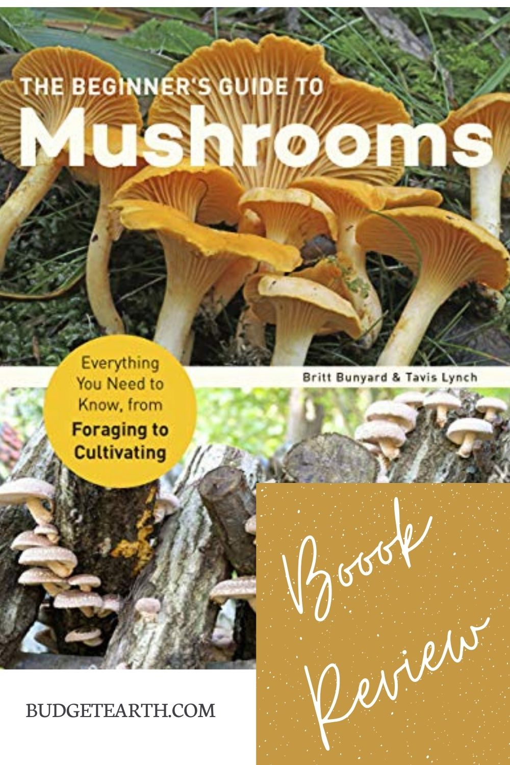 beginners guide to mushrooms book cover