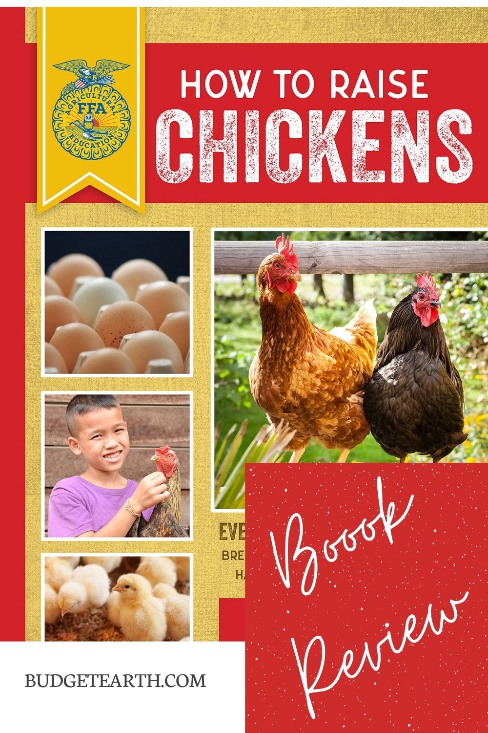 book cover for how to raise chickens
