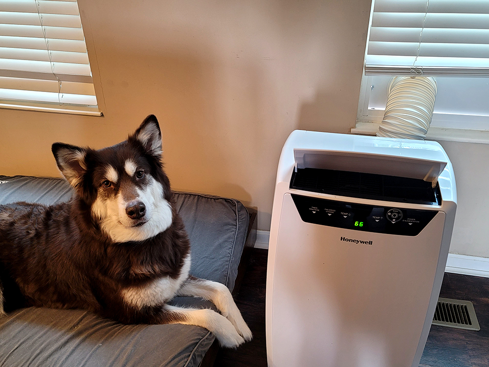 red alaskan malamute sitting next to Honeywell Portable Air Conditioner