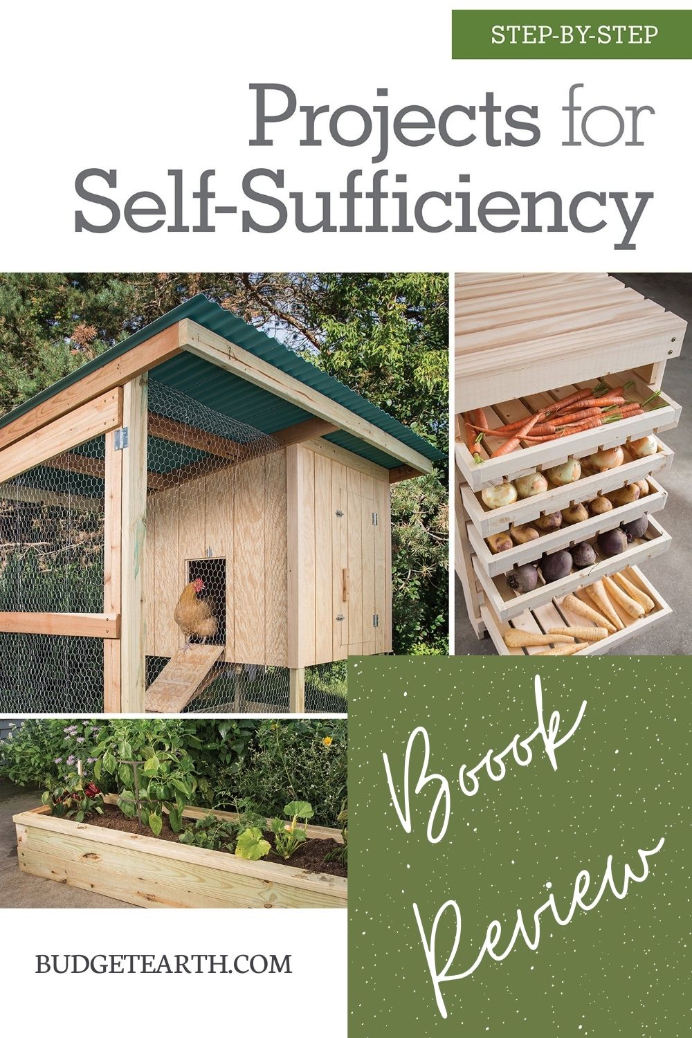 Projects for Self-Sufficiency book cover