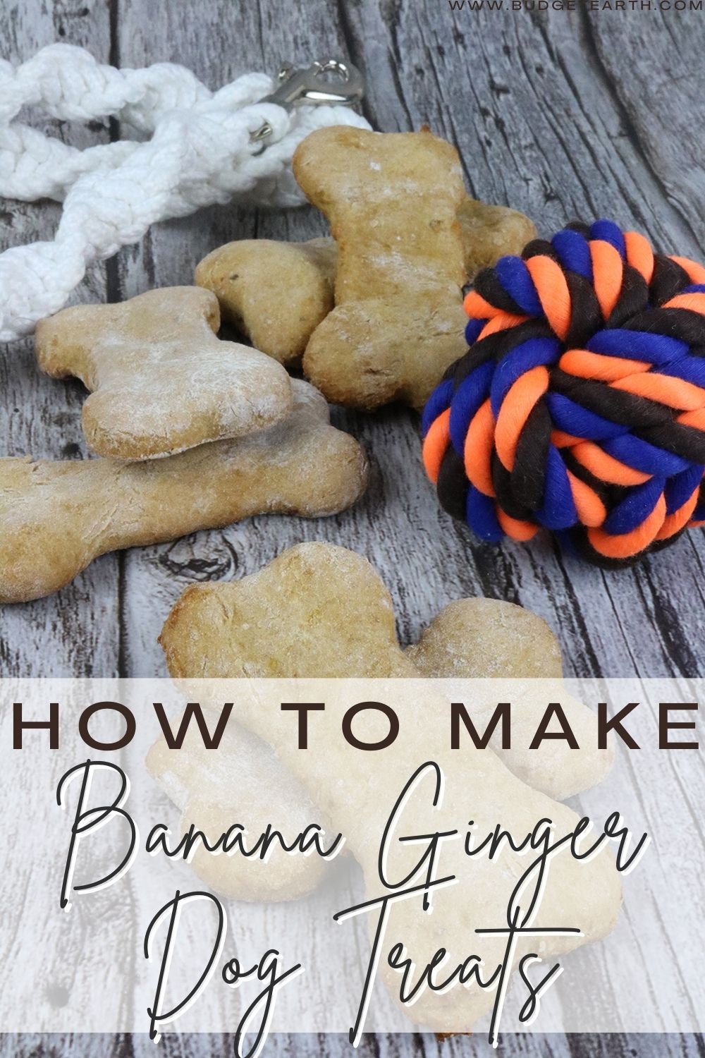 banana ginger dog treats with a ball and leash