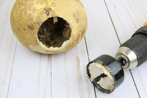 gourd birdhouse front hole being drilled