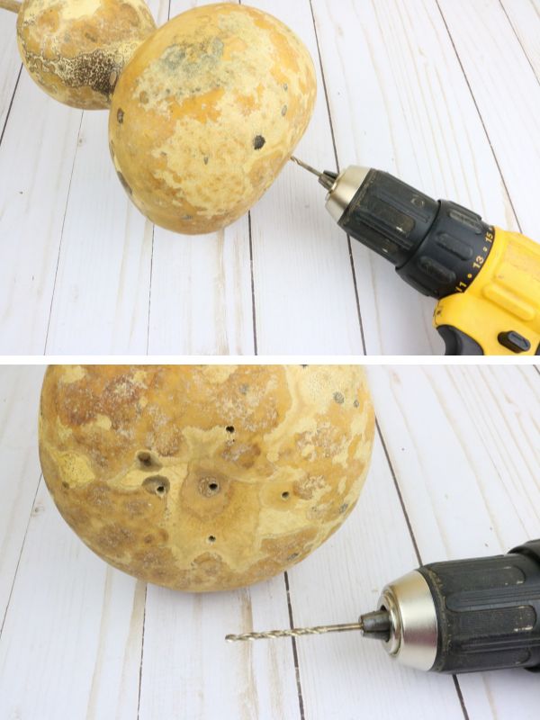 drilling drainage holes in gourd birdhouse