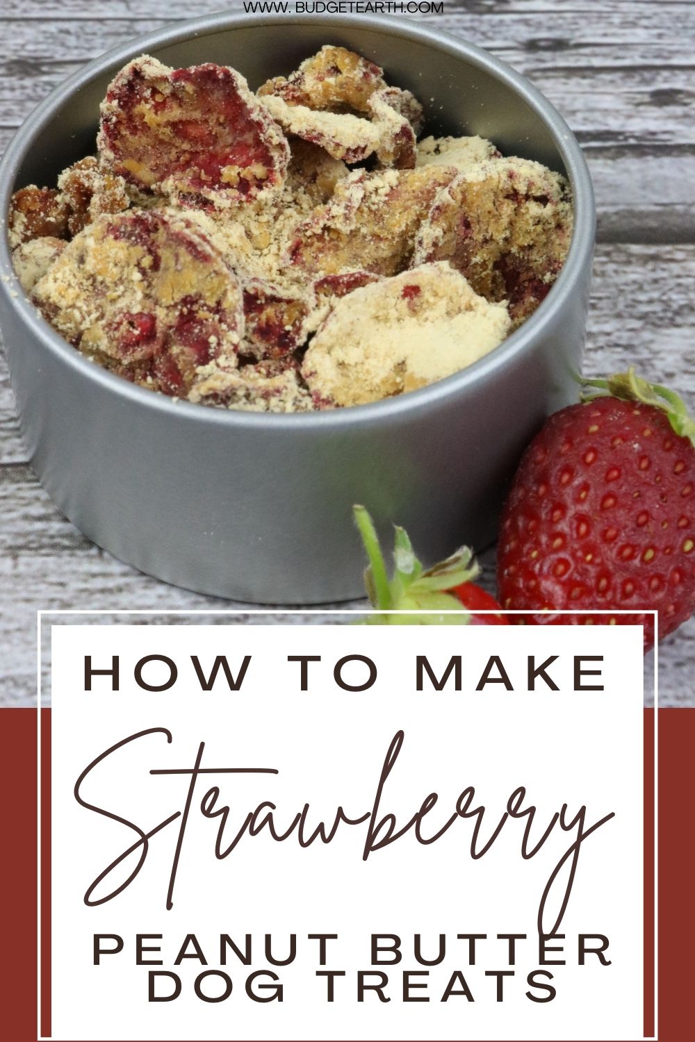 strawberry peanut butter dog treats in a metal dog bowl