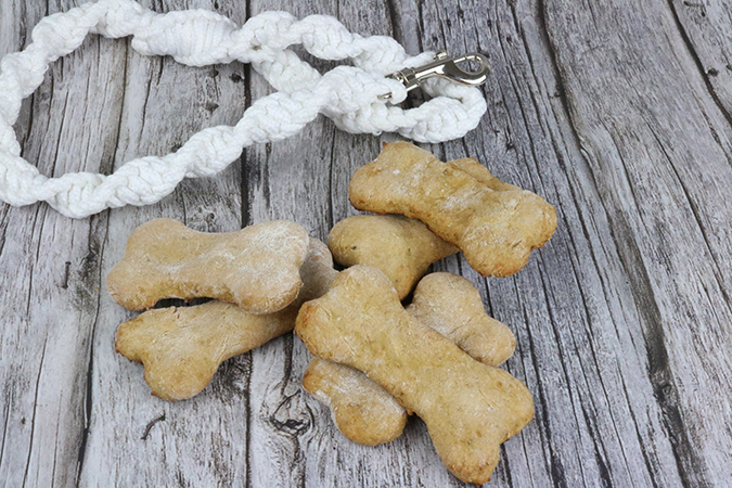 banana ginger dog treats with a leash