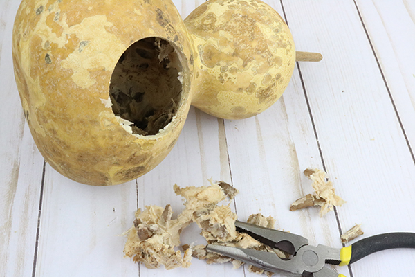 gourd birdhouse taking out seeds