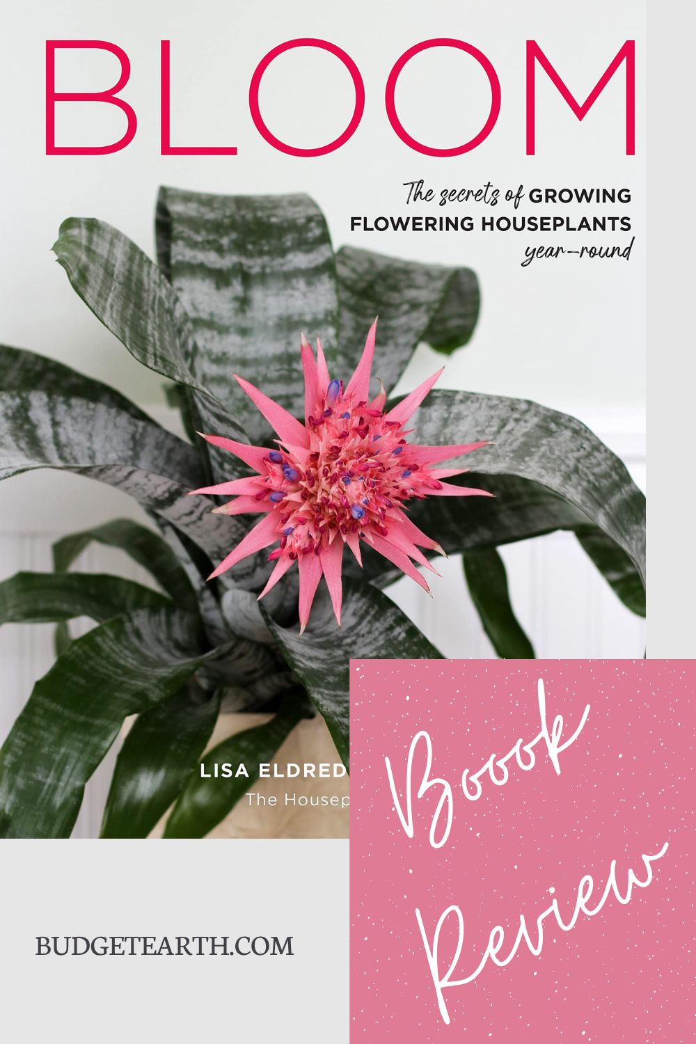 flowering houseplant book review