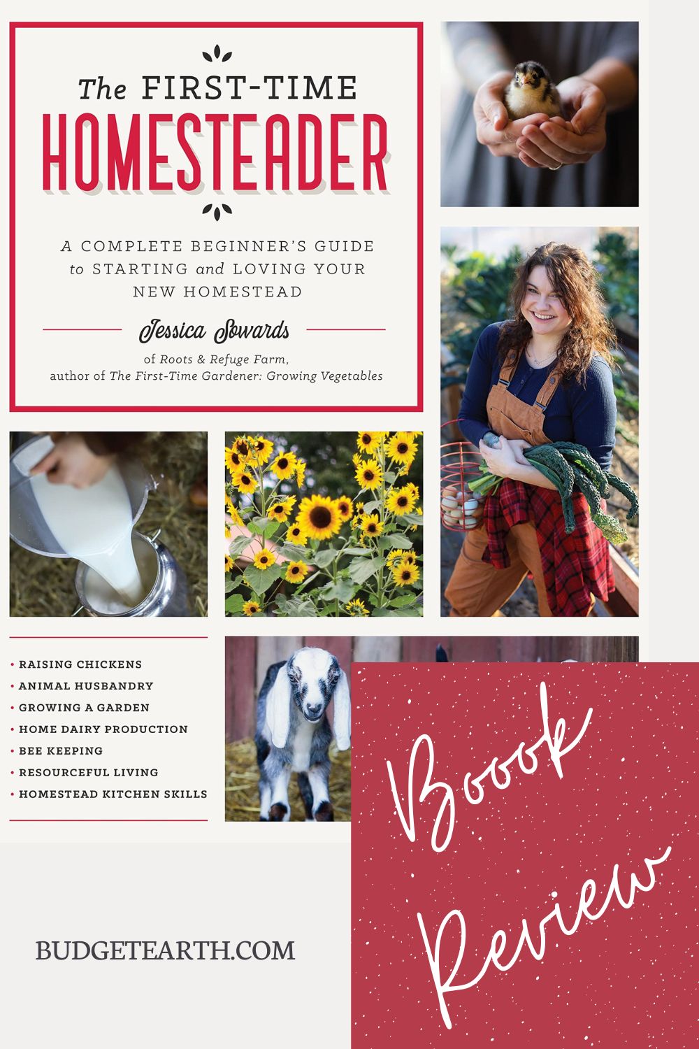 first time homesteader book review image