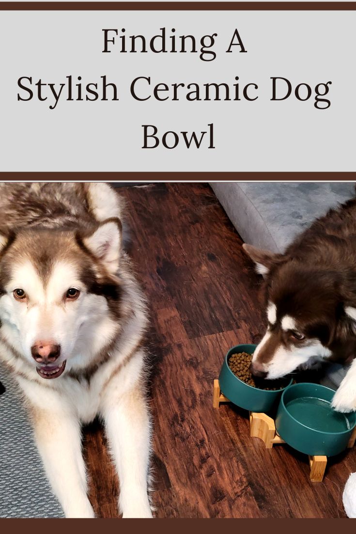 two alaskan malamutes with a green ceramic dog bowl