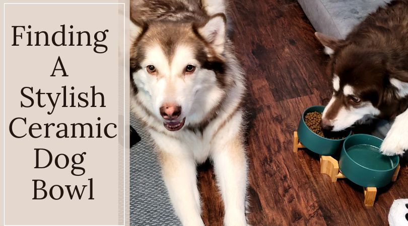 two Alaskan Malamutes sitting by a ceramic dog bowl