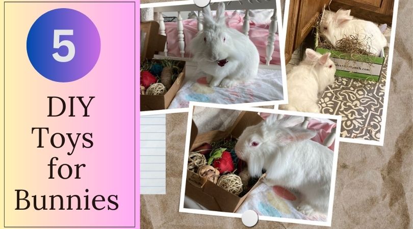 diy toys for bunnies