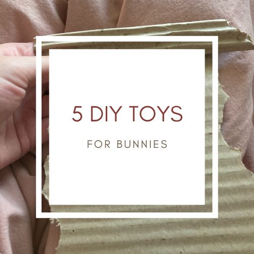 diy bunny toys