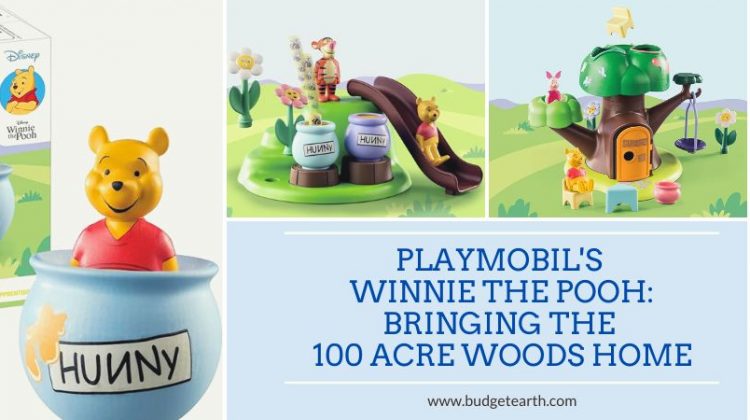 pictures of winnie the pooh playmobile line