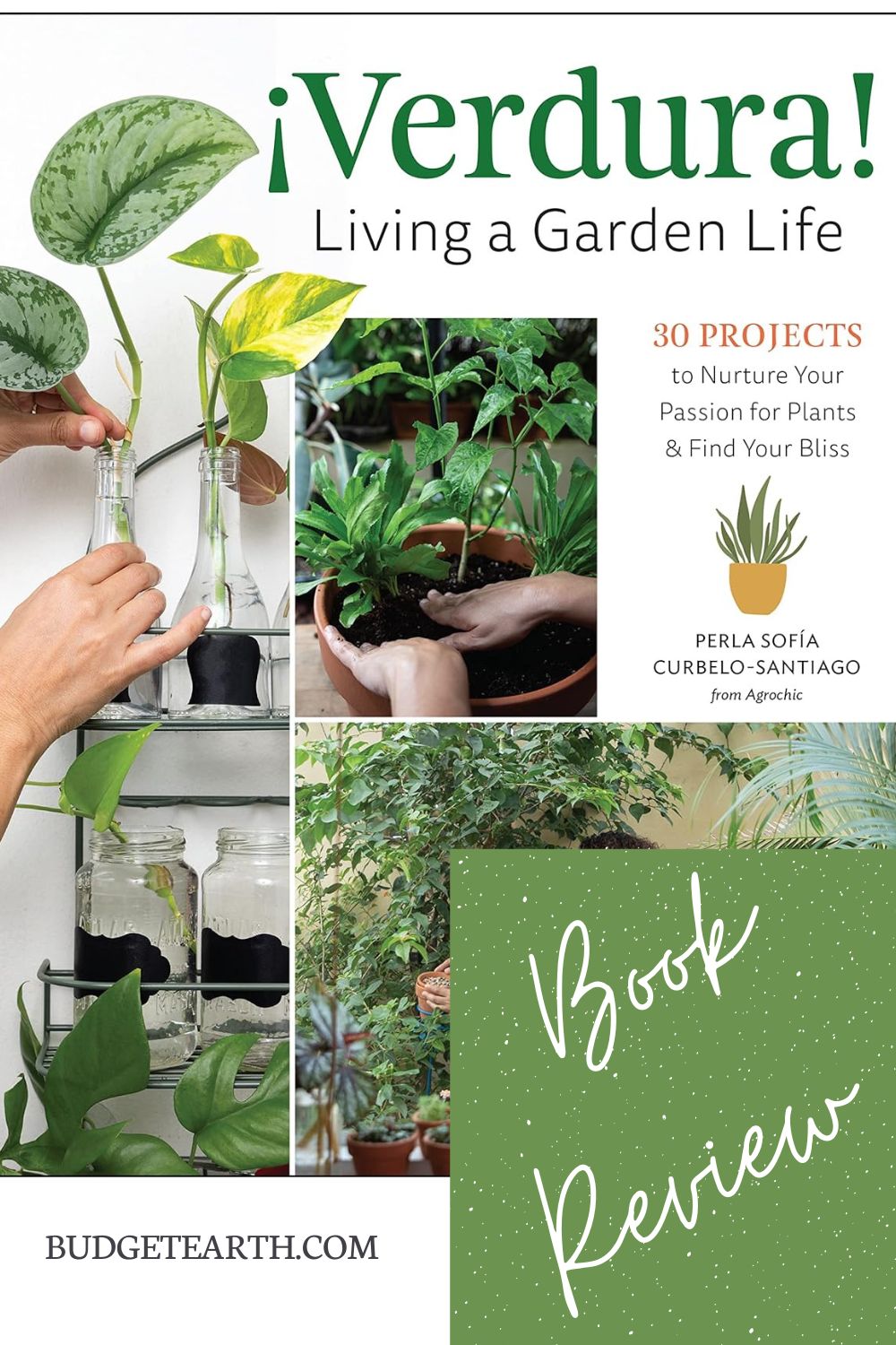 cover of Verdura living a garden life book