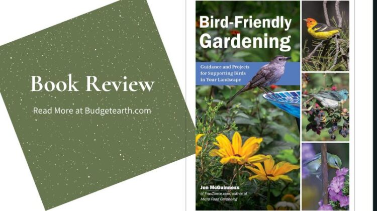 cover of Bird-Friendly Gardening
