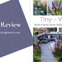 review of Tiny + Wild