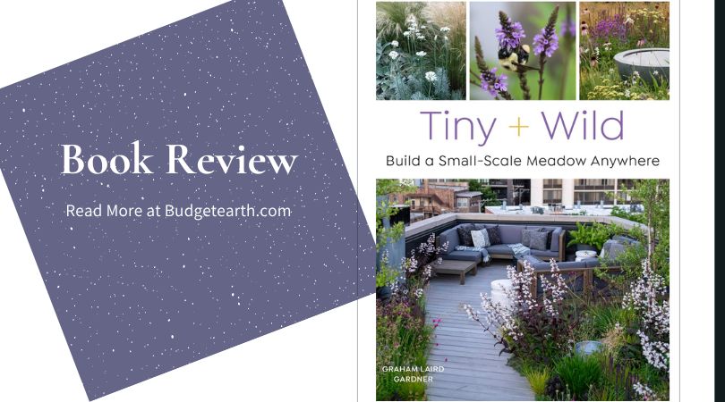 review of Tiny + Wild