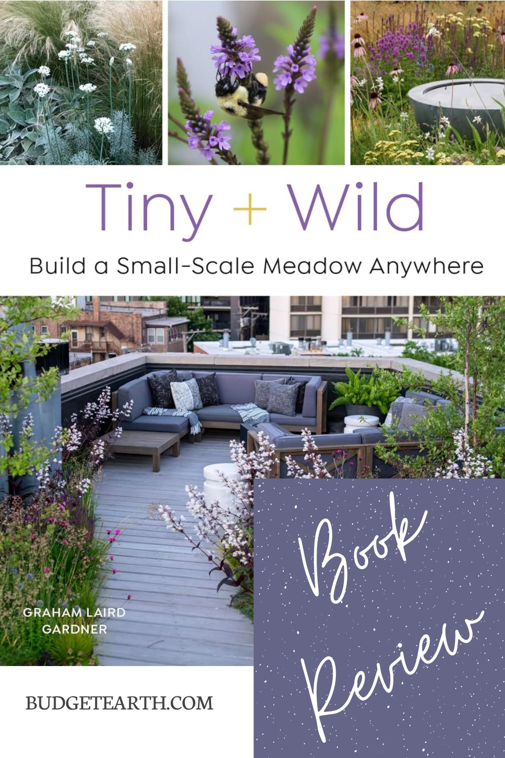 review of tiny + Wild