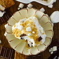 picture of s'more lush dessert